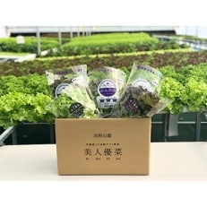 高野山麓　美人優菜　乳酸菌入り高級野菜詰合せ【配送不可地域：離島】【1139724】