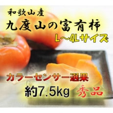 【2025年発送】九度山の富有柿 秀品 7.5キロ カラーセンサー選果L～4Lサイズ(32～22玉)【1299643】