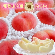 【秀品】ギフト、贈答品にも!和歌山ブランド白桃約2kg! 7月以降順次発送分【配送不可地域:離島】【1382515】