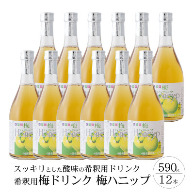 【九度山町】希釈用梅ドリンク 梅ハニップ 12本セット【1217705】