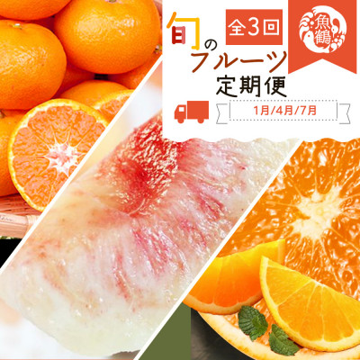 【発送月固定定期便】紀州和歌山産旬のフルーツセット(みかん・清見・桃)全3回【配送不可地域:離島・北海道・沖縄】【4005193】