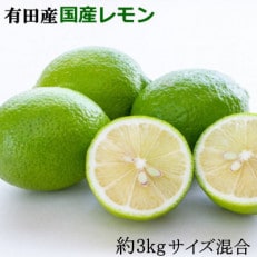 有田産の安心国産レモン約3kg(サイズ混合) (九度山町)【1476788】