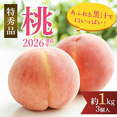 先行受付!　旬の桃　(特秀品)食べきりやすい3個入り【配送不可地域：離島】【1484351】