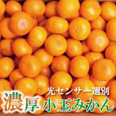 [2024年11月より発送]家庭用 小玉な有田みかん3kg+90g(傷み補償分)[訳あり][配送不可地域:離島・北海道・沖縄]