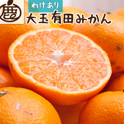 家庭用 大きな有田みかん5kg+250g(傷み補償分)【光センサー選果】【訳あり】【配送不可地域:離島・北海道・沖縄】【1312035】