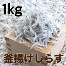 釜揚げしらす 1kg(500g×2パック)【配送不可地域:離島・北海道・沖縄】【1496854】