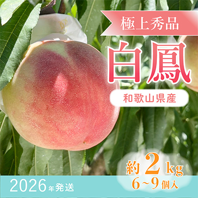 先行受付! 桃の王様【白鳳】 特秀品 約2kg 6~9個入【配送不可地域:離島】【1524933】