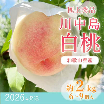 桃先行受付! 【川中島白桃】 (大玉特秀品) 約2kg 6~9個入 こだわり農家厳選!【配送不可地域:離島】【1524934】