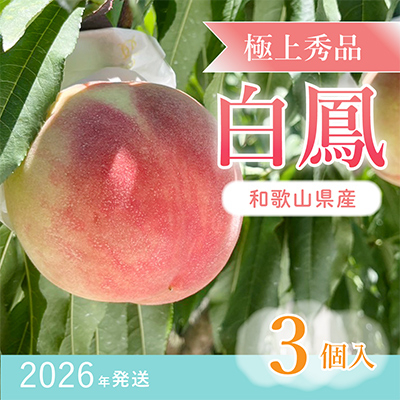 桃先行受付! 桃の王様【白鳳】 特秀品 食べきりやすい3個入り【配送不可地域:離島】【1524937】