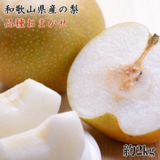 和歌山県産の梨約2kg(品種おまかせ)【九度山町】【2026年度発送分】【配送不可地域：離島】【1549745】