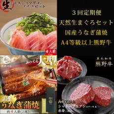 【毎月定期便】紀州和歌山うまいもんセットC(生まぐろ・うなぎ蒲焼・熊野牛)全3回【配送不可地域:離島・北海道・沖縄・東北・関東・九州】【4057129】