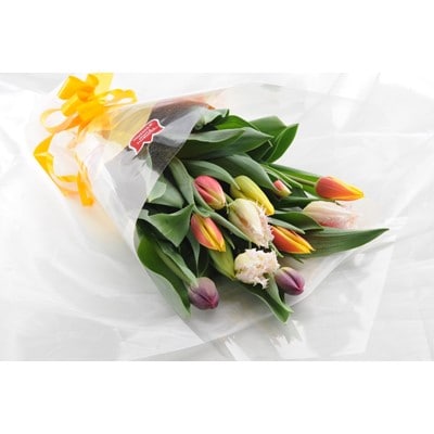 チューリップ切花(12本)【1201782】
