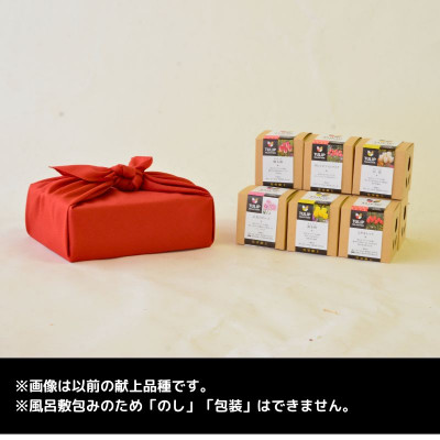 チューリップ球根 皇室献上品種セット【1345691】
