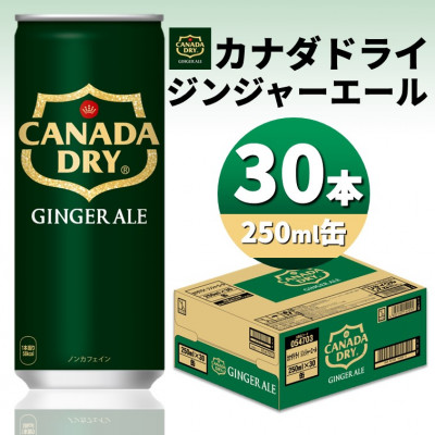 カナダドライジンジャーエール250ml缶×30本【1551264】