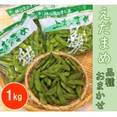 えだまめ 1kg(品種おまかせ)【野菜/豆】【配送不可地域:離島】【1291664】