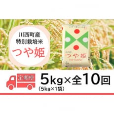 2024年2月発送開始『定期便』川西町産　特別栽培米「つや姫」精米5kg(5kg×1袋)全10回【5169244】