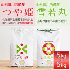 令和7年産 山形県産 つや姫・雪若丸 計10kg【1144536】