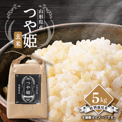 【令和7年産先行予約】山形県川西町産 つや姫 玄米5kg【1462379】