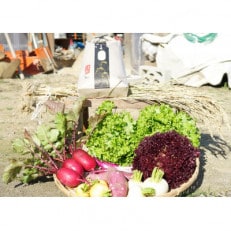 兵庫県産のお米(5kg)  と季節のお野菜(約3kg)ジャム(3種)の詰め合わせ【配送不可地域:離島】【1275241】