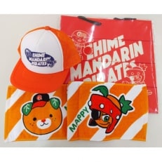 愛媛マンダリンパイレーツ 応援セット【1122285】