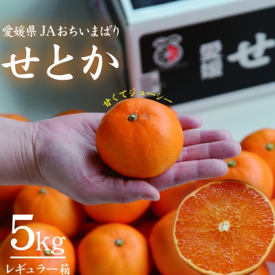 【先行受付】せとか レギュラー箱 5kg 愛媛県JAおちいまばり【配送不可地域:離島】【1622636】