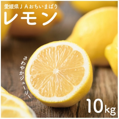 先行予約】瀬戸内レモン10kg 2L～M JA選果品【1644241】 | 愛媛