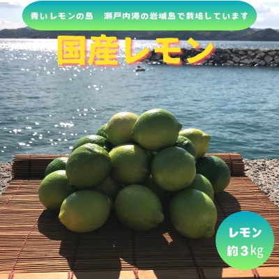 【先行予約11月発送～】青いレモンの島　グリーンレモン約3kg【1651150】