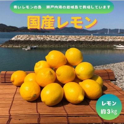 【先行予約2026年1月発送～】青いレモンの島　国産レモン(イエロー)約3kg【1651415】