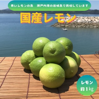 【先行予約11月発送~】青いレモンの島 グリーンレモン約1kg【1651130】