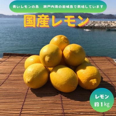 【先行予約2026年1月発送~】青いレモンの島 国産レモン(イエロー)約1kg【1651410】