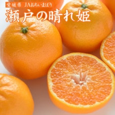 【先行受付】瀬戸の晴れ姫 2L~Sサイズ 4kg(25~60玉) 愛媛県 JAおちいまばり【1439143】