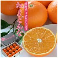 【先行受付】紅まどんな　化粧箱　3L～L　10～15玉　愛媛県　JAおちいまばり【1438675】