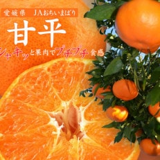 【先行受付】甘平(かんぺい)化粧箱 4L~2Lサイズ 8~12玉 愛媛県JAおちいまばり【1439146】