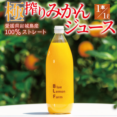 愛媛 ブルーレモンファームのごくしぼりみかんジュース 1L 1本【1489651】