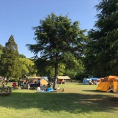 熟成ジビエBBQ付キャンプ場ご利用プラン 【5人様用引換券】【1489564】