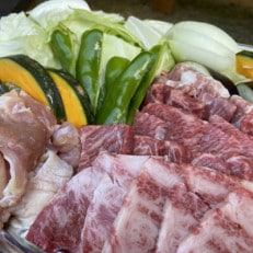 熟成ジビエBBQ付キャンプ場ご利用プラン 【3人様用引換券】【1489575】