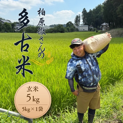 多古米セレクション　柏原徹さんの多古米コシヒカリ　玄米5kg　令和7年産【配送不可地域：離島】【1655245】
