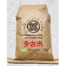 新米【令和7年産】たこまいらいふ萩原農場の多古米コシヒカリ(精米)3kg【配送不可地域:離島・沖縄】【1438054】