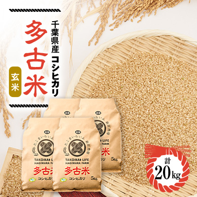 新米【令和7年産】たこまいらいふ萩原農場の多古米コシヒカリ(玄米)20kg【配送不可地域：離島・沖縄】【1438051】