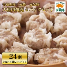元気豚 大粒肉焼売 4パックセット【配送不可地域:離島・沖縄】【1459599】