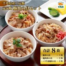 元気豚 豚丼の具セット(3種8食入)【配送不可地域:離島・沖縄】【1459602】