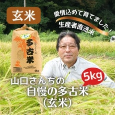 山口さんちの【令和7年産】多古米コシヒカリ(玄米)5kg【配送不可地域：離島・沖縄】【1481142】