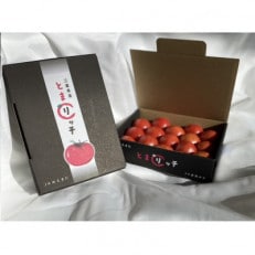 木曽岬産フルーツトマト「とまリッチ」約1kg(化粧箱)【令和5年12月順次発送予定】【1380767】