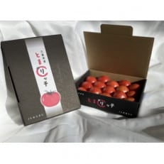 木曽岬産フルーツトマト「とまリッチ」約1kg(化粧箱)【令和6年3月順次発送予定】【1444525】