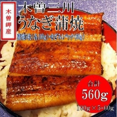 「2024年2月発送」木曽岬産「木曽三川うなぎ」うなぎ蒲焼5枚(各100g)+おまけ(60g)付【配送不可地域:離島】【1470885】