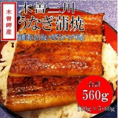 「2024年3月発送」木曽岬産「木曽三川うなぎ」うなぎ蒲焼5枚(各100g)+おまけ(60g)付【配送不可地域:離島】【1470886】