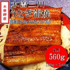 「2024年4月発送」木曽岬産「木曽三川うなぎ」うなぎ蒲焼5枚(各100g)+おまけ(60g)付【配送不可地域:離島】【1470887】