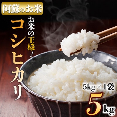 [コシヒカリ・農家指定無]阿蘇の美味しいお米をお届け!5kg×1袋