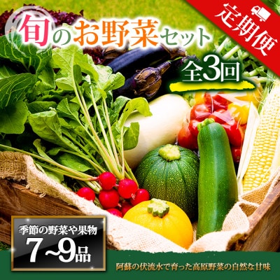 【毎月定期便】季節のお野菜セットLサイズ 旬のお野菜を厳選してお届け全3回【配送不可地域:離島】【4071068】