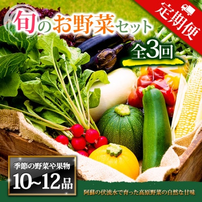 【毎月定期便】季節のお野菜セットXLサイズ 旬のお野菜を厳選してお届け全3回【配送不可地域:離島】【4071069】
